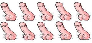 20x50mm Shaped Vinyl Penis Stickers laptop fun hen doo LGBT adult humour cock - Picture 1 of 1