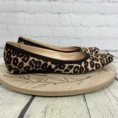 Manolo Blahnik Pisos Mujer Talla 9 1/2 Estampado Animal Sin Cordones Preppy Minimalista Foto 1 de 4