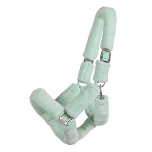 QHP Head collar Alaska- Mint Green - Bild 1 von 5