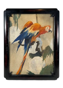 ANTIQUE MACAW PARROT EXOTIC BIRD FINE ILLUSTRATION VINTAGE ART OIL PAINTING - Picture 1 of 24