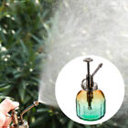  Glass Vase Watering Can Indoor Plants Vintage Flower Spray Bottle