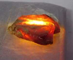 13.50 Ct Natural Quality Amber Rough Orange CERTIFIED Excellent Loose Gemstone - Picture 1 of 11