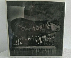 Ceramic Beverage Coaster Under Tow Pig Resin Coated 4" x 4" Felt Tabs  - Picture 1 of 4