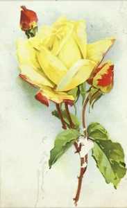 Katharina Klein Künstler signierte Floral Blumenkunst Postkarte - Bild 1 von 3