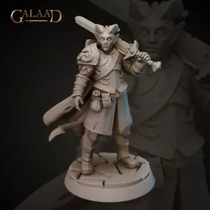 Tiefling Fighter - Paladín / Caballero - Miniaturas Galaad - Mazmorras y Dragones - Imagen 1 de 2