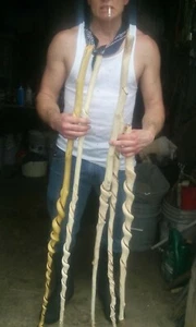 HAND CARVED WALKING STICK - Picture 1 of 7