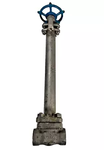 VELAN C04-2054E-13MY Stainless Steel Cryogenic Gate Valve 3/4" 800 Socket x NPT - Picture 1 of 14