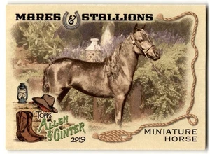 Miniature Horse 2019 Topps Allen & Ginter Mares & Stallions #MS-8 - Picture 1 of 2