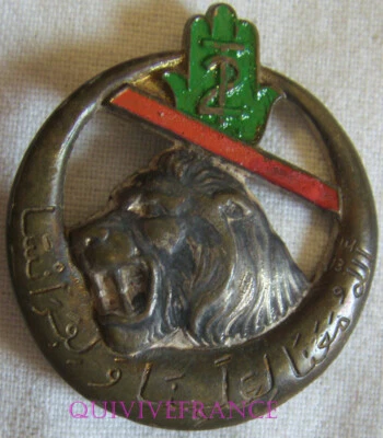 IN21387 - INSIGNE 2° Régiment de Tirailleurs Algériens, type 2, peint - Photo 1/2
