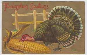 Vintage Postcard Turkey Ear of Corn Gold Thanksgiving - Picture 1 of 2