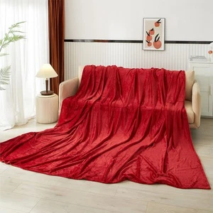 Oversized Super Soft Royal Plush Velvet Family Blanket for All Seasons- 10' x... - Picture 1 of 4