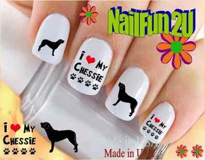 Nail Art 120A DOG BREED Chesapeake Bay Retriever 2 Water Slide Nagel Aufkleber Transfr - Bild 1 von 3