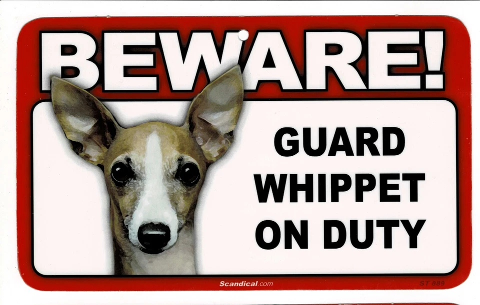 CUIDADO CON EL LETRERO RECTANGULAR LAMINADO WHIPPET PERRO/MASCOTA. ENVÍO COMBINADO. Foto 1 de 1