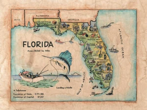 Póster con impresión de arte de mapa de Florida para niños obras de arte de colección pared excelente decoración del hogar y regalo - Imagen 1 de 1