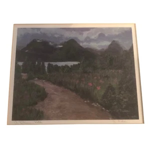 Druck von B. Fratoni Ein Gletscherweg ungerahmt Bergsee Blumen - Bild 1 von 4