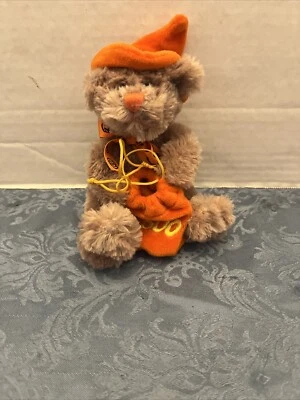 复古 2004 年动物冒险小号万圣节女巫泰迪熊带 Boo 包毛绒 — 第 1/4 张图片