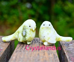 2.4" Natural Lantian Jade Tallado Pájaro Reiki Creativo Cristal Calavera Decoración Regalo 1x - Imagen 1 de 17
