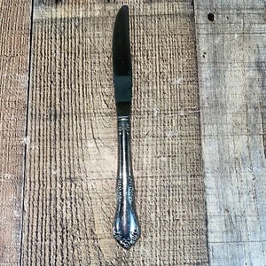 Cuchillo de vajilla de lujo Oneida MANSFIELD Amadeus Wm A Rogers - Imagen 1 de 10