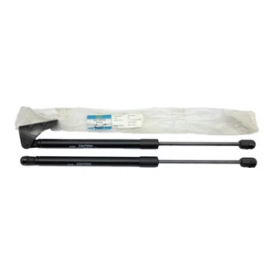 FITS FOR Suzuki Ertiga Rear Tailgate Hatch Lift Support Shock Struts RH LH NEW - Picture 1 of 9