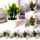 Eye catching Small Calla Lily Flowers Pot Set of 5 for Home Decoration