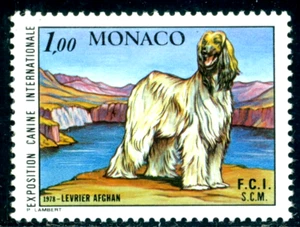 1978 Intl Dog Show, Monte Carlo,Afghan Hound, dog breed,Monaco,Mi.1347,MNH - Picture 1 of 2