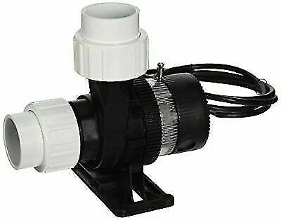 Laing E14-NSTN2W-10 Spa Circulation Pump