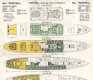 1961 Adriatica m/s ENOTRIA Tissue, Color-Coded Deck Plan - Picture 1 of 1