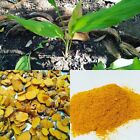 100% Fresh Turmeric Root Powder Organic Pure Raw Curcuma Longa Ceylon Spices