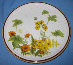 Mikasa Fresco Da Giardino ~ Un Piatto Insalata - Foto 1 di 4