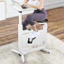 Exercise Bike Indoor Bicycle Fitness 8 Levels Magnetic System Adjustable Seat