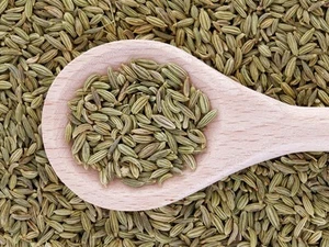 1kg Fenchel Fenchelsamen ganz Gewürz Tee 1000g - Bild 1 von 2