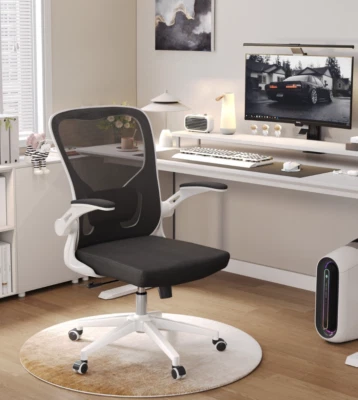 Silla Oficina Hogar - Silla Escritorio Ergonómica Ajustable con Soporte Lumbar Foto 1 de 4