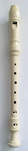 West Music Soprano Recorder, Plástico con Manga de Tela EUC - Imagen 1 de 6