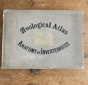 ZOOLOGICAL ATLAS ANATOMY OF INVERTEBRATES - Picture 1 of 24