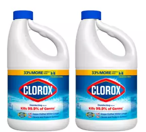 81 oz. Concentrated Regular Disinfecting Liquid Bleach Cleaner (2-Pack) - Picture 1 of 10