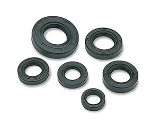 Kit completo de sello de aceite de motor Honda CR 250 R Elsinore (1978 1979 1980) x 6 piezas - Imagen 1 de 1