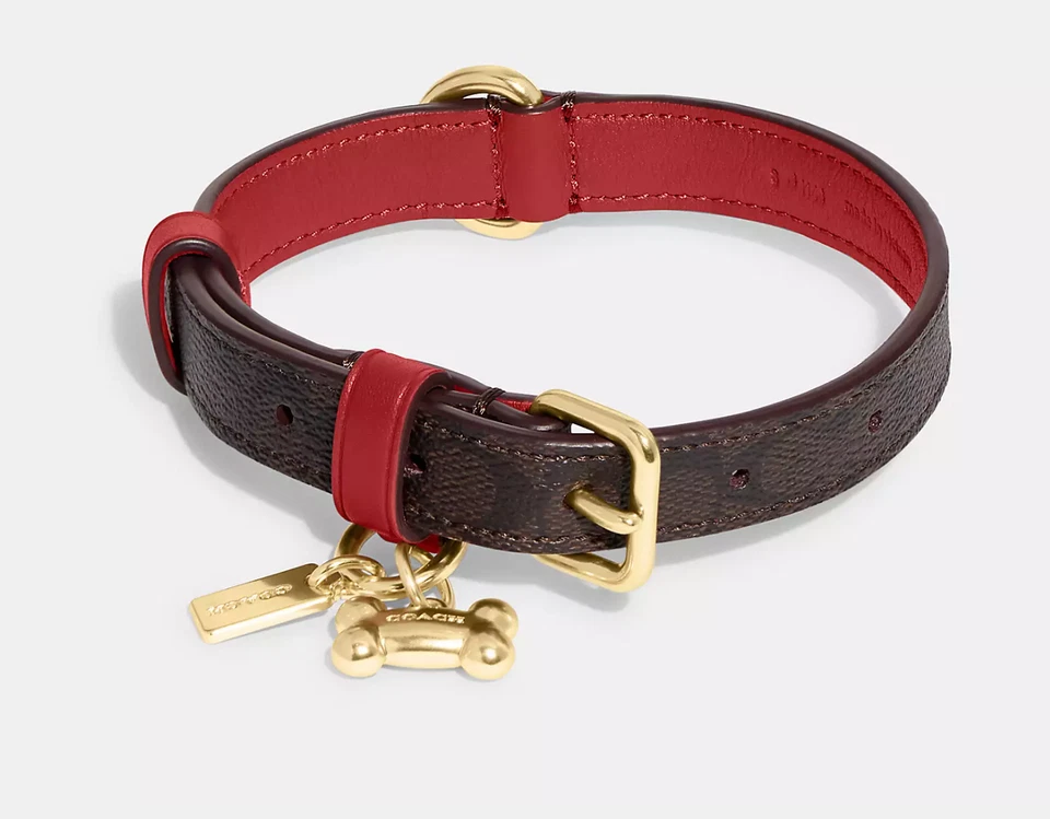 Coach Boxed Small Pet Collar In Signature Canvas with Bone /Saddle