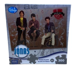 Disney Jonas Brothers Rock the House Mega Puzzle 300 Teile 16,25"x11" NEU - Bild 1 von 3