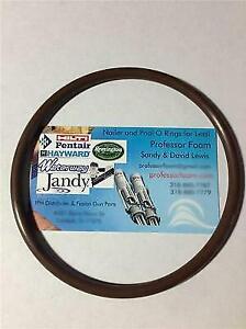 2 x Viton O-rings for the Hayward CL100 CL110 Chlorinator Lid LOWEST COST!!!