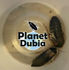 Dubia Feeder Roaches [50 Males 100 Females + 50 Mixed Juveniles] Starter Colony