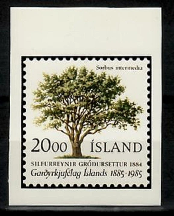 Photo Color Essay, Iceland Sc608 National Horticulture Society, Tree - Image 1 of 1