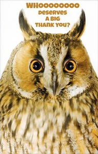 Lustige DANKESCHÖN Karte 🦉 Whooooo Eulengesicht von Stockwell Grüße + Umschlag - Bild 1 von 6