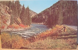 Montana Postcard GALLATIN RIVER & CANYON Autumn Woman Dog Big Sky Lauretta 1960s - Picture 1 of 2