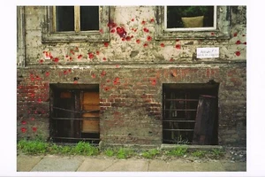 Postcard Wim Wenders Old Jewish Quarter, Berlin, 1992 Germany MINT Unused - Picture 1 of 1