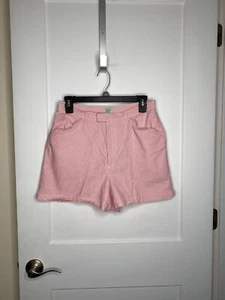 GAP Seer Sucker Striped Stretch Classic Fit Preppy Shorts Women’s Size 10 - Picture 1 of 3