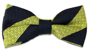 4th Queen's Own Hussars Seda Sin Pliegues Moño Preciado - Imagen 1 de 1