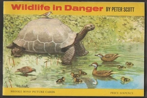 BROOKE BOND (TEA)-EMPTY ALBUM (NO ORDER FORM)- WILDLIFE IN DANGER 1963 - Picture 1 of 2