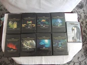 DVD Movies x 9 Including David Attenborough Wild life Collection - Imagen 1 de 6