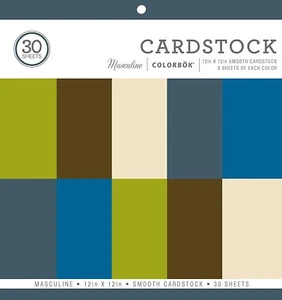 NEW CARDSTOCK 30 SHEETS COLORS BOOK 12 BY 12 INCH PAGES MASULINE LARGE #538 - Picture 1 of 1