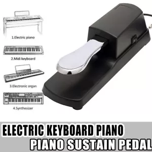 Universal Switch Damper Sustain Foot Pedal For Casio Electric Piano Keyboard US - Picture 1 of 12